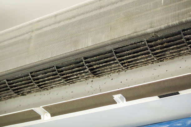 Best Emergency Air Duct Cleaning  in Whitefish Bay, WI